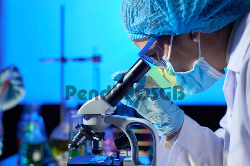 Labaratuvar Tetkikleri Normal Değerleri - Pendik OSGB
